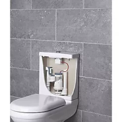 Pipe Shop -Pipe Shop 5527F A1